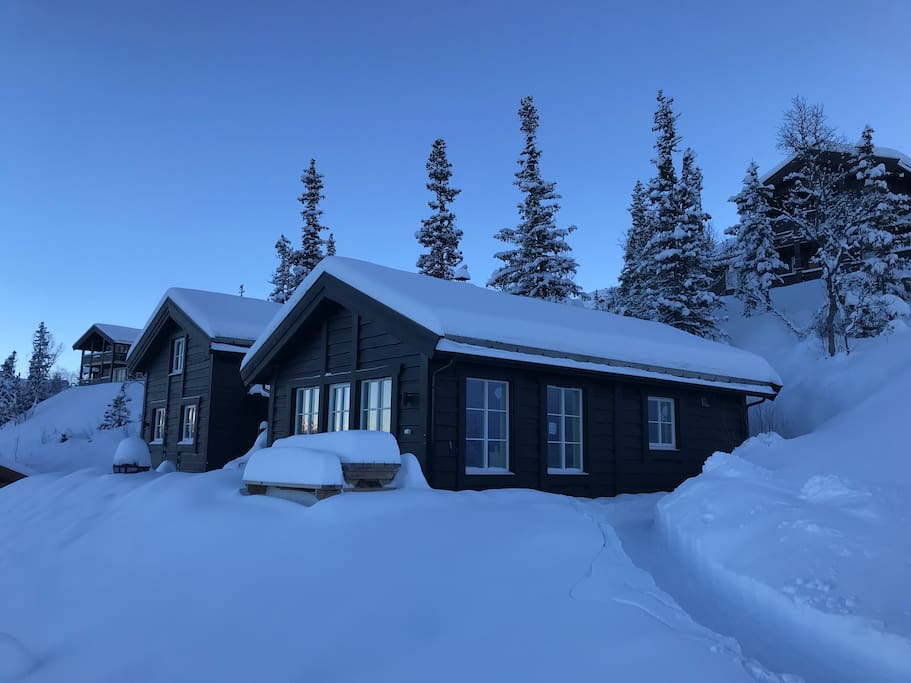 Cabin after digging out on the first weekend of January, 2018