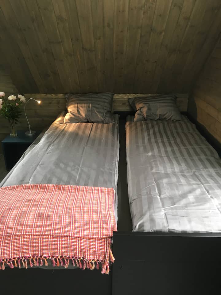 Habitación compartida con puerta principal. Cama flexible; cama individual/ doble.