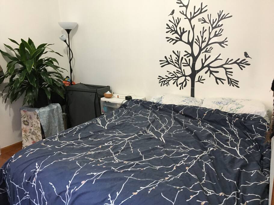 Cozy private bedroom with queen sized bed and closet