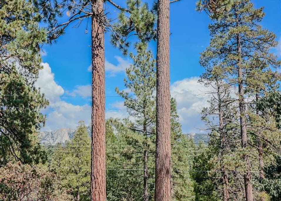 Mountain views from the home,