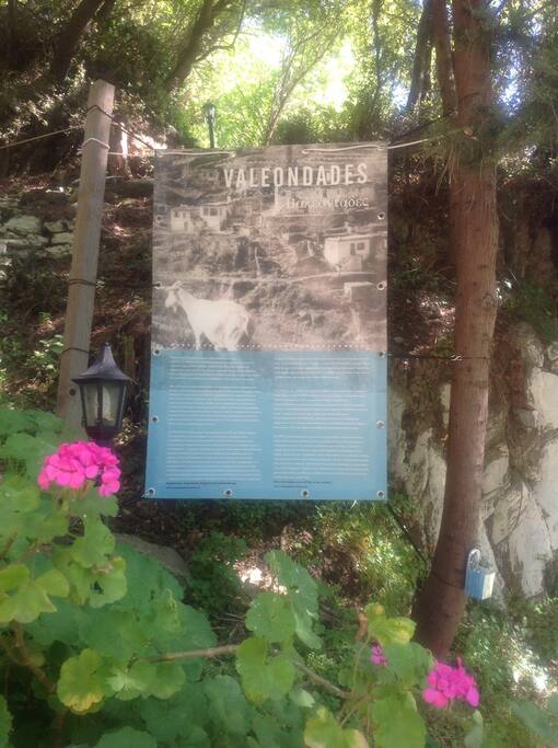 The historie of the village