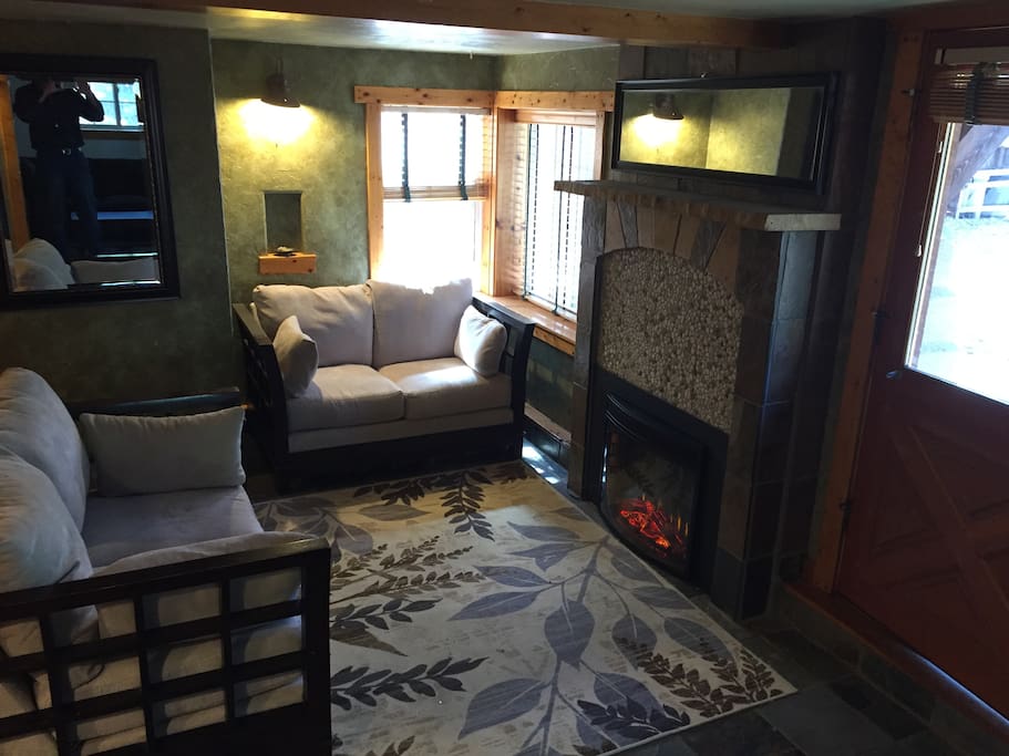 Fireside (electric) room