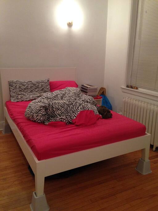very comfy and big bed!
