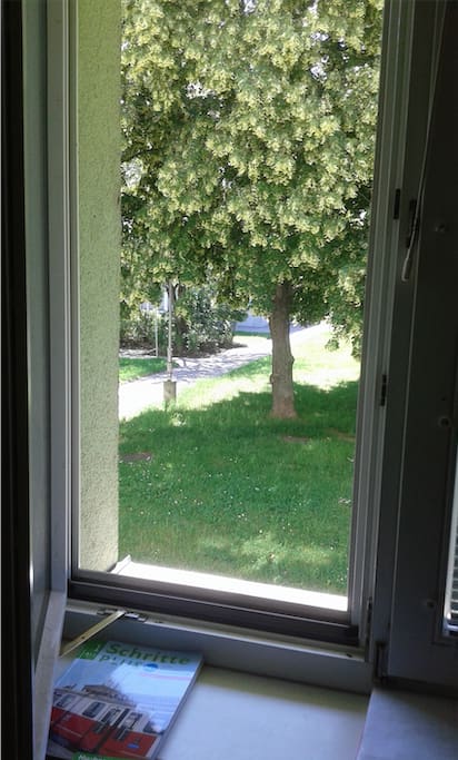 your room looking to garden