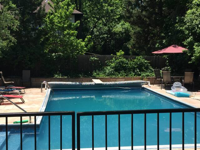 Backyard oasis with pool, hot tub, and much more!