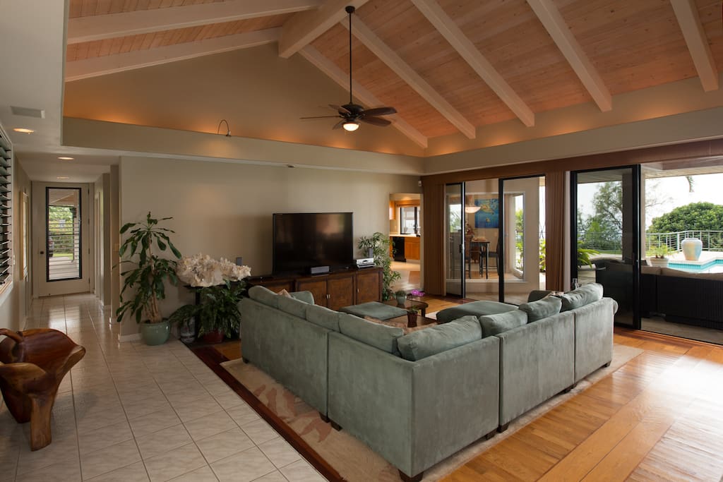 Great Room / Living Room entertainment area