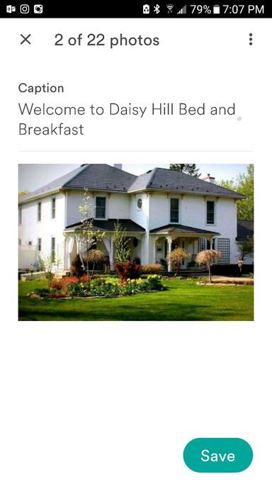 Daisy Hill B&B