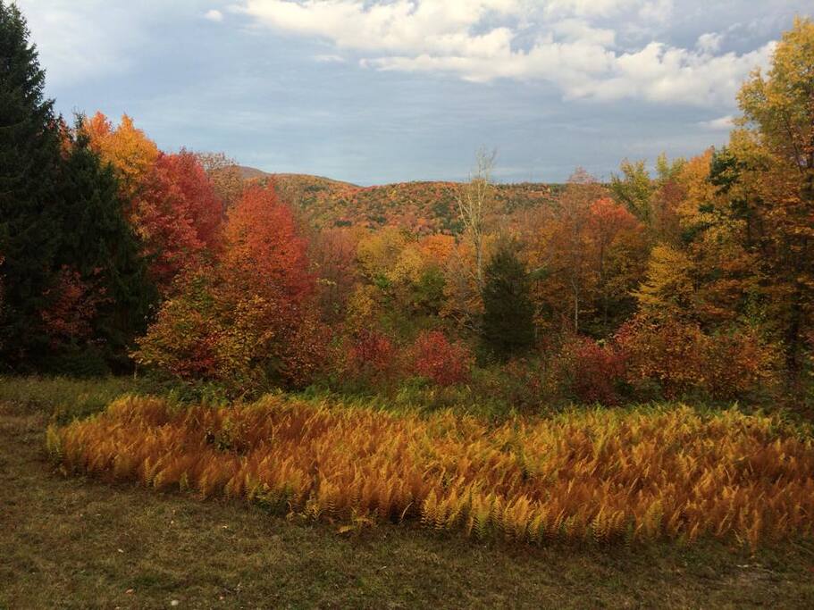 The view from the deck isn't too bad in the Fall either....