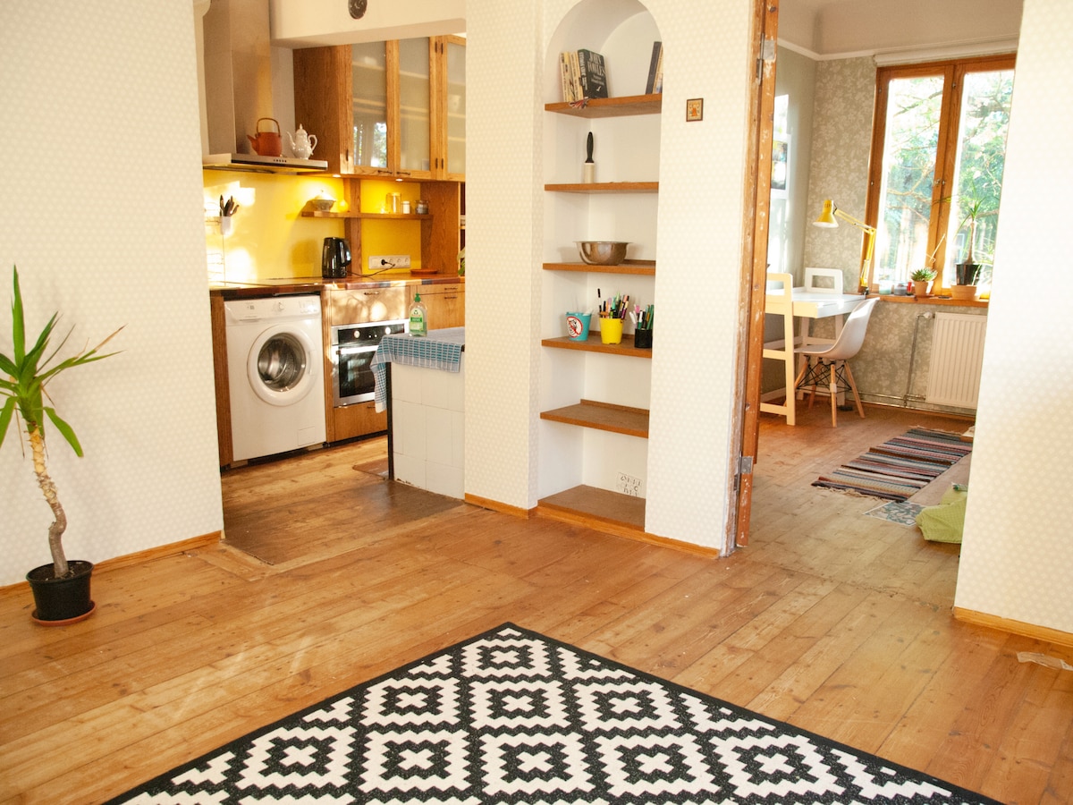 An open living area features wooden flooring and connects to a kitchen with natural light. Shelves displaying various items are positioned against the wall. A houseplant adds a touch of greenery, and a patterned rug complements the warm wooden tones of the space.