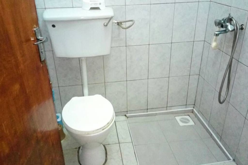 toilet and bathroom