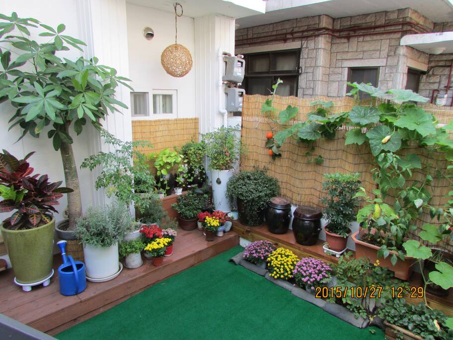 garden