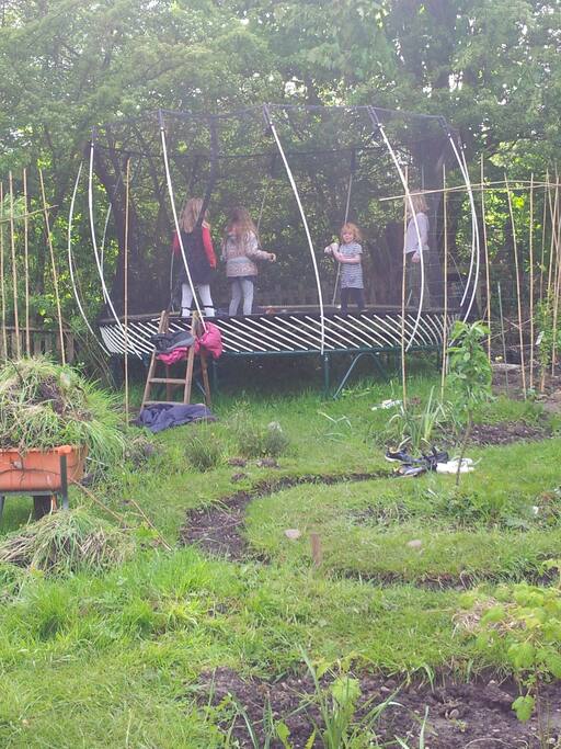 opposite the house is our allotment and trampoline that you can use