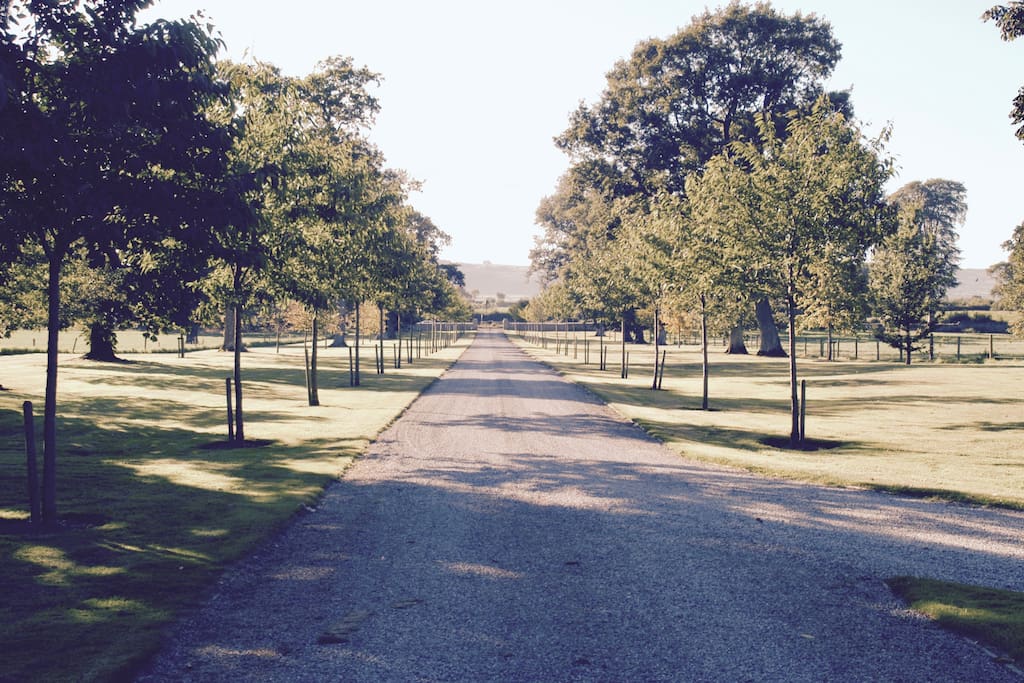 Entrance drive from house