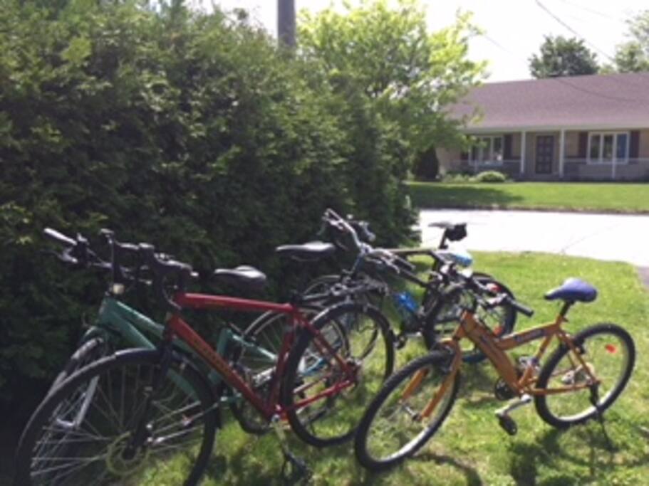 3 vélos adultes et 3 vélos ados