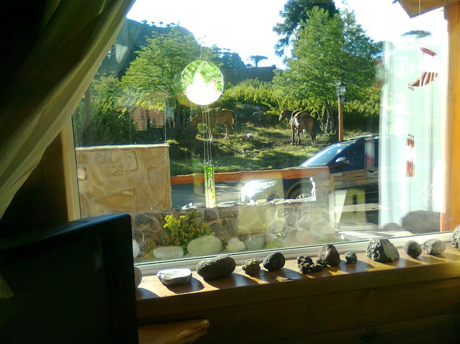Vista desde el estar