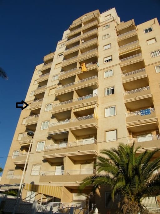 Condominium