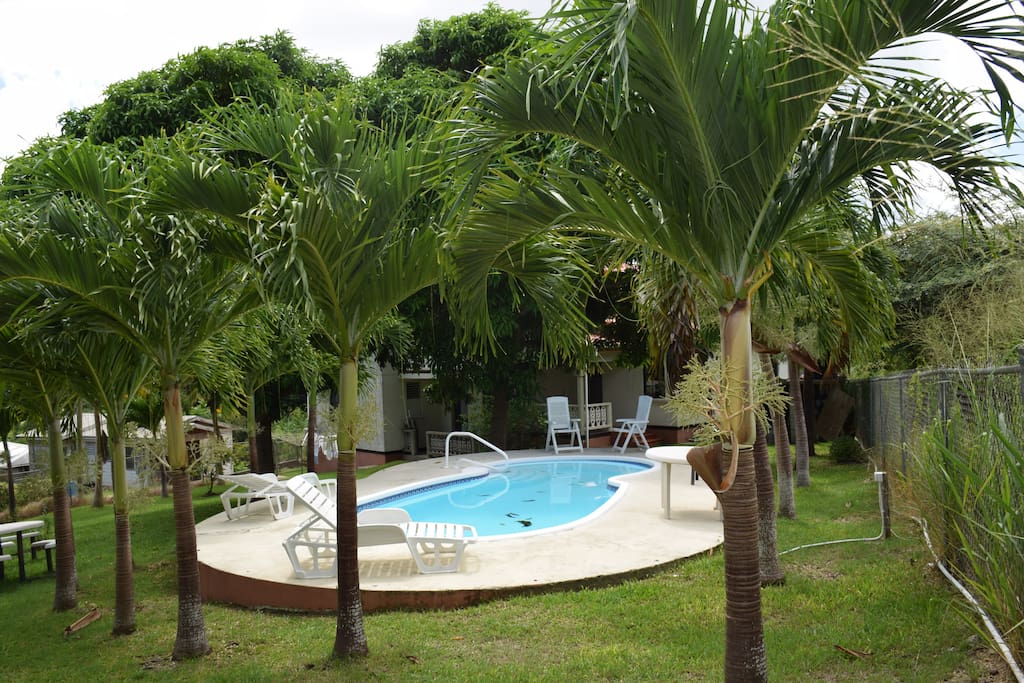 swimming pool