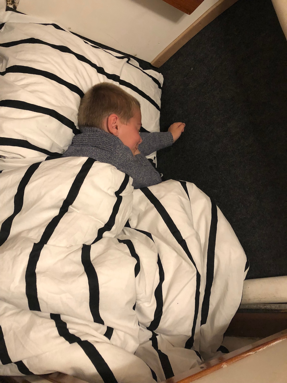 უკანა დაფის ხის სახლი კარადით (ერთადგილიანი)