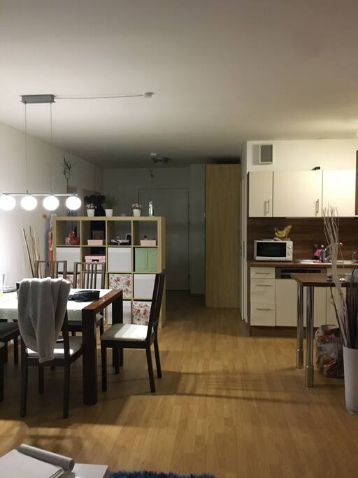 Open space (living room and kitchen)