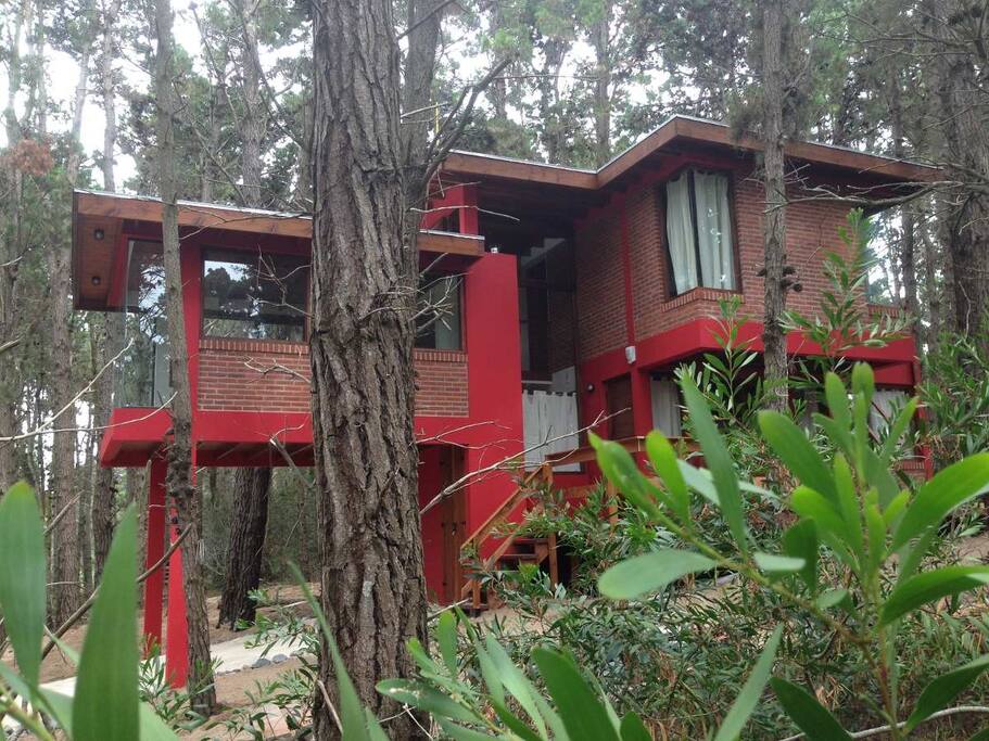 hermoso y tranquilo barrio, cerca de la reserva ecológica