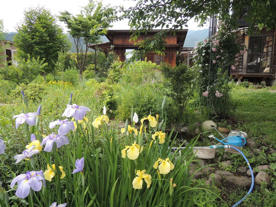 Guest Cottage from the garden