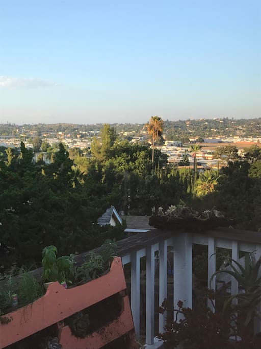 Panoramic views