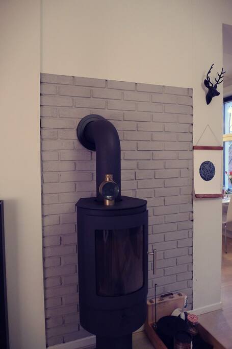 Wood-fired oven