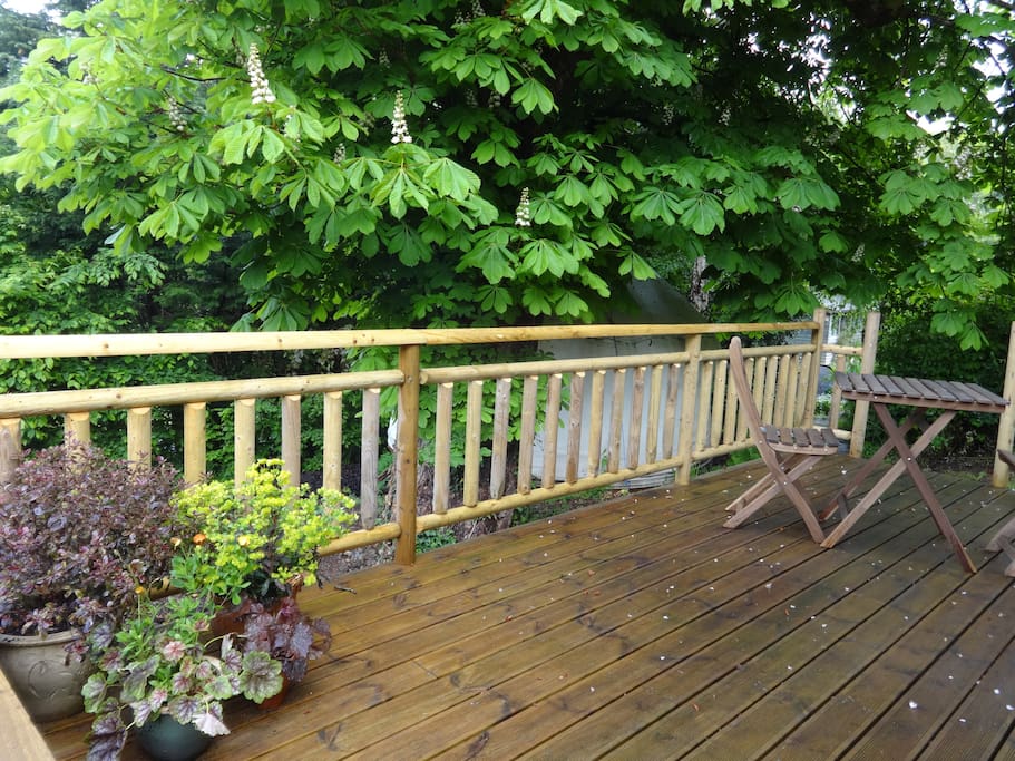 Deck at rear