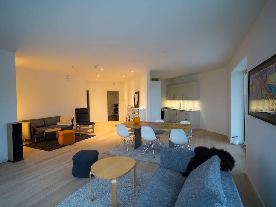 Large livingroom with new designer furniture.