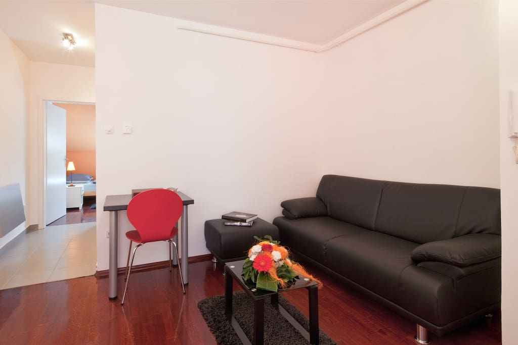 Living room with a sofa bed and flat screen TV