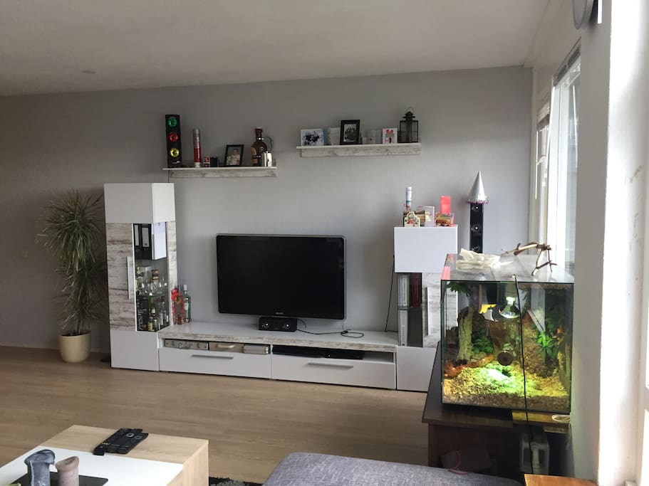 TV and terrarium (with Ka if you look closely)