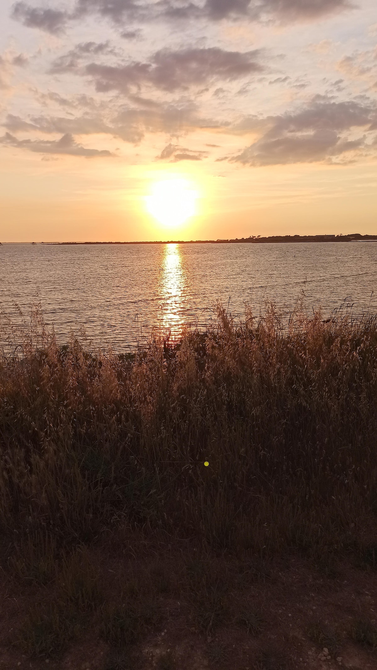 A serene sunset over the water creates a warm glow, reflected on the surface. Tall grasses in the foreground sway gently, adding texture to the scene. The horizon is framed by a gentle silhouette of land and clouds, inviting moments of tranquility.