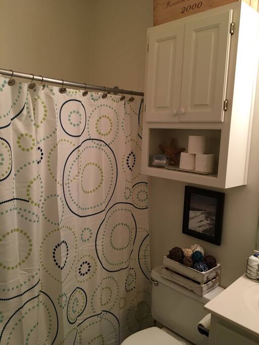 Guest Tub and Shower