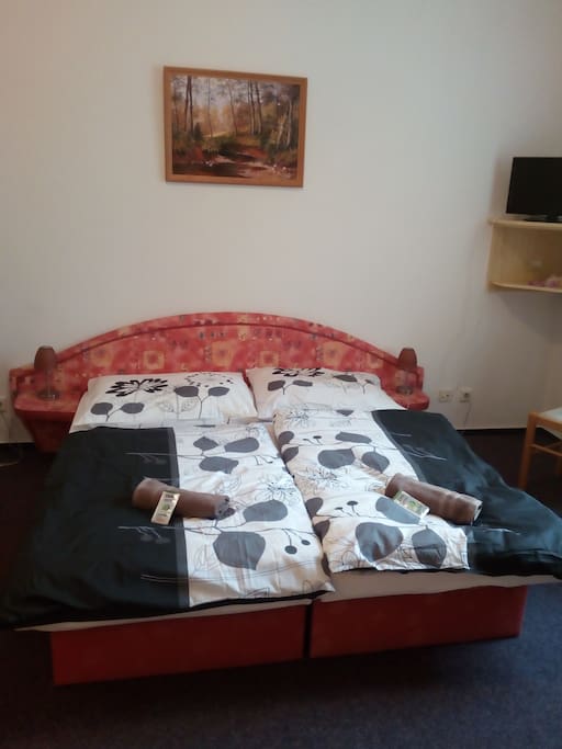 Interiér apartmá