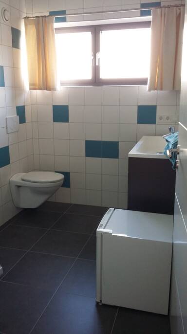 The Bathroom (there is a shower) private for the guest