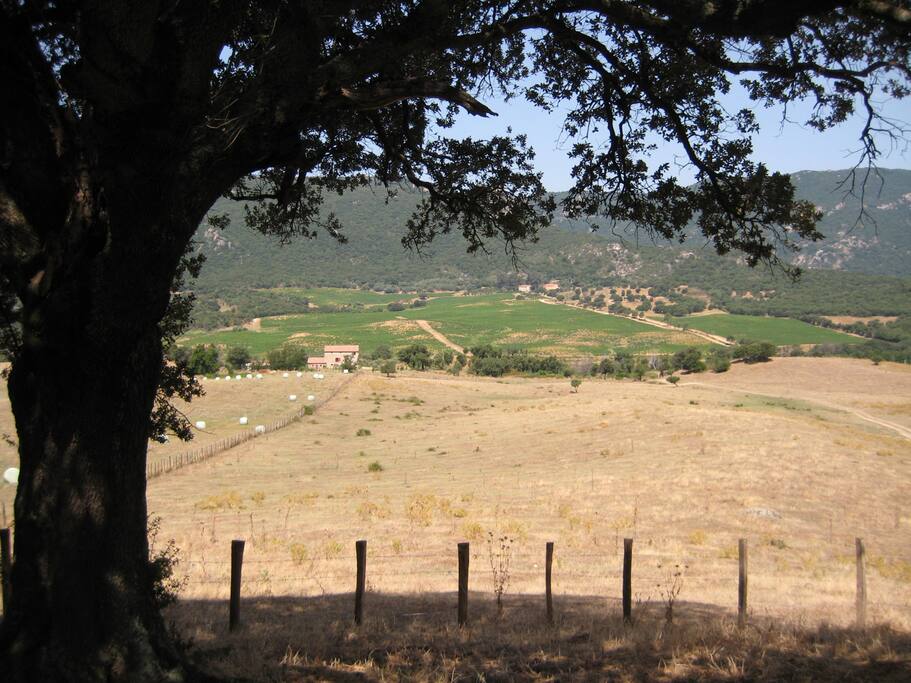 vue de la terrasse sur la vallée en été