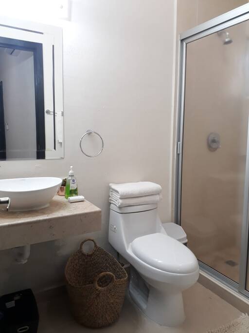 BAÑO RECAMARA PRINCIPAL