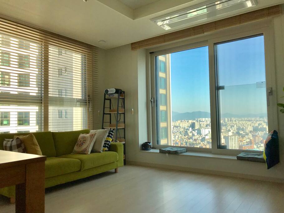 Living room with two full windows for a great view