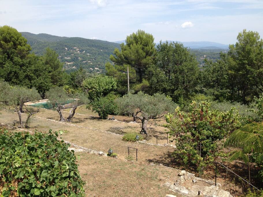 Paysage type à 50 mètres