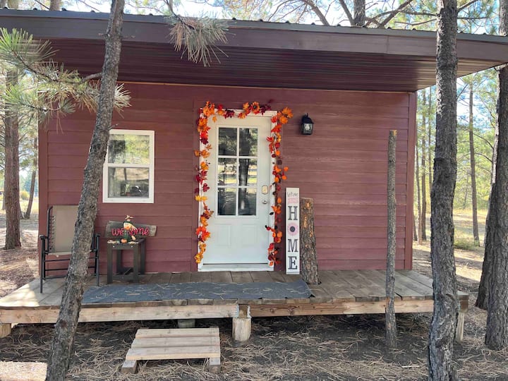 The little cabin in the woods! Near Custer SD Cabins for Rent in