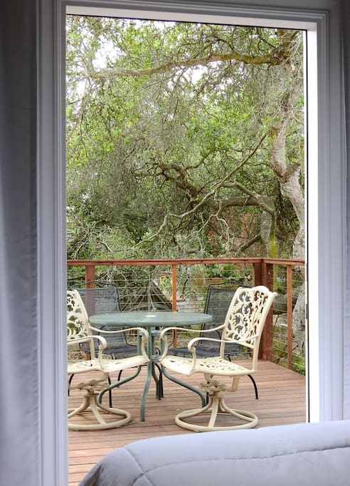 Deck from bedroom #1