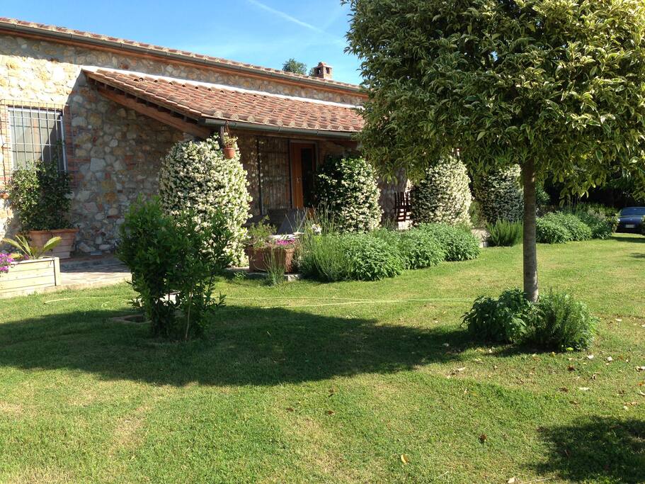 House and garden