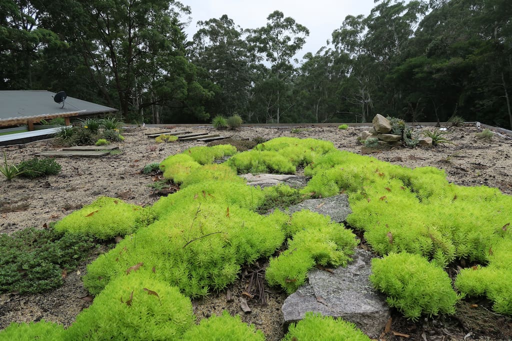 Green roof
