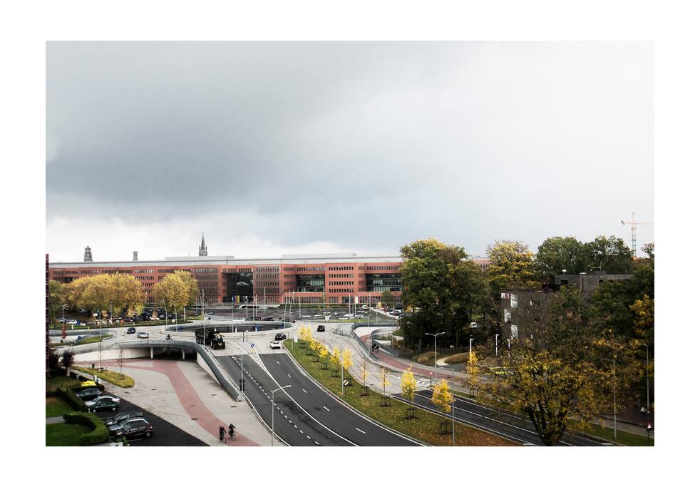 Het uitzicht