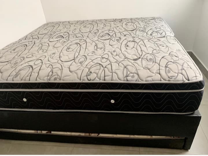 سريران مزدوجان كبيران ، بحجم كوين