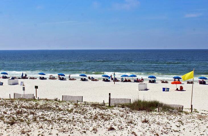 Snowbirds Welcome!!!