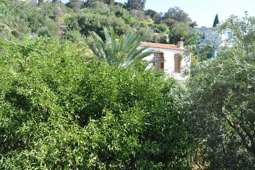 Το σπίτι