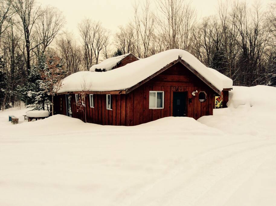 Winter wonderland