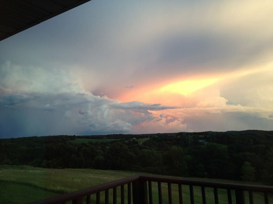 Back yard view