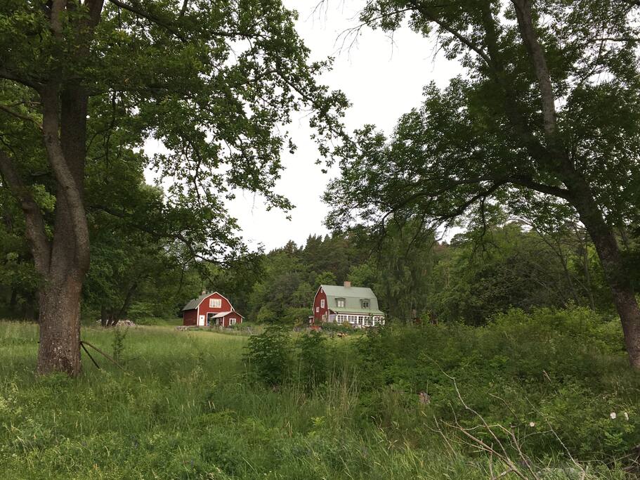 The surroundings of the cottage are peaceful. /Stugan ligger i vacker miljö med sjöutsikt över Mälaren.